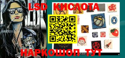 мяу мяу мука Краснознаменск