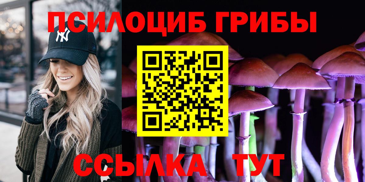 Галлюциногенные грибы Cubensis Усть-Кут